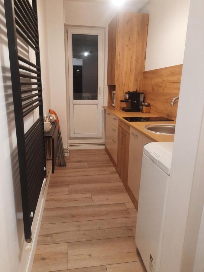 Lyra Apartment Sfântu-Gheorghe Dış mekan fotoğraf